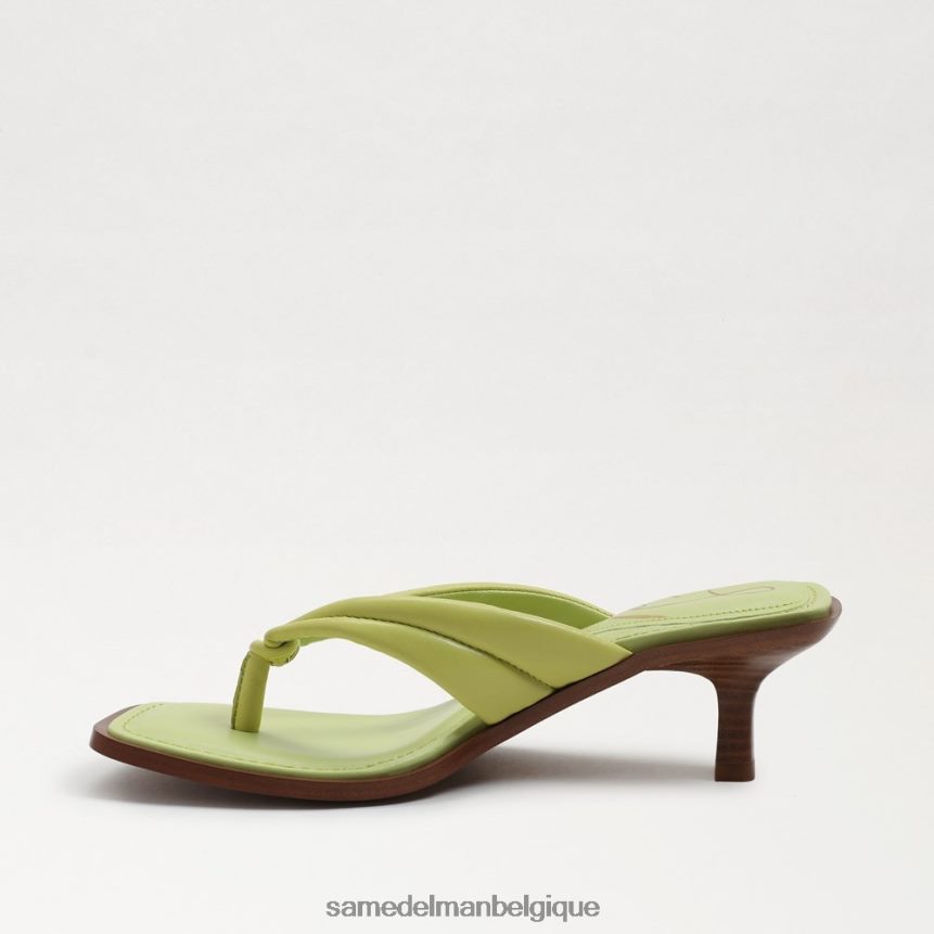 sandale tong daphney Sam Edelman femmes cuir de kiwi JZ0XZ0710 chaussure