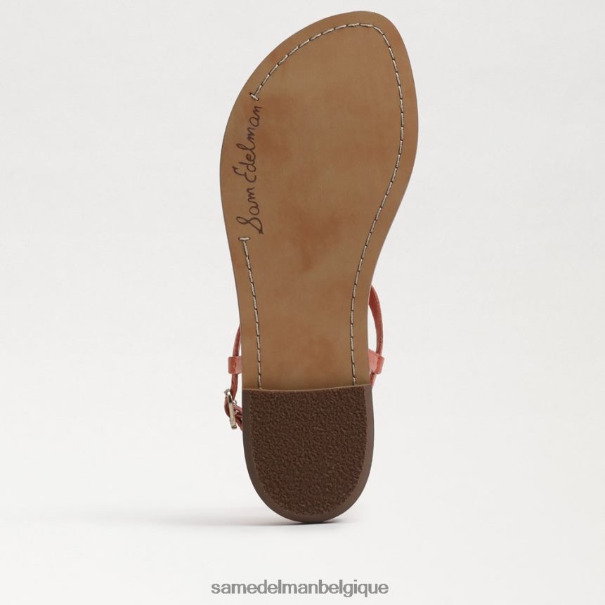 sandale tong gigi chevalière Sam Edelman femmes rose terre cuite JZ0XZ0561 chaussure